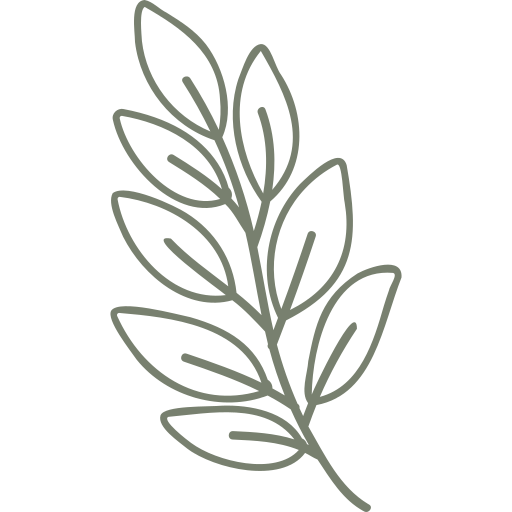 flower flower
